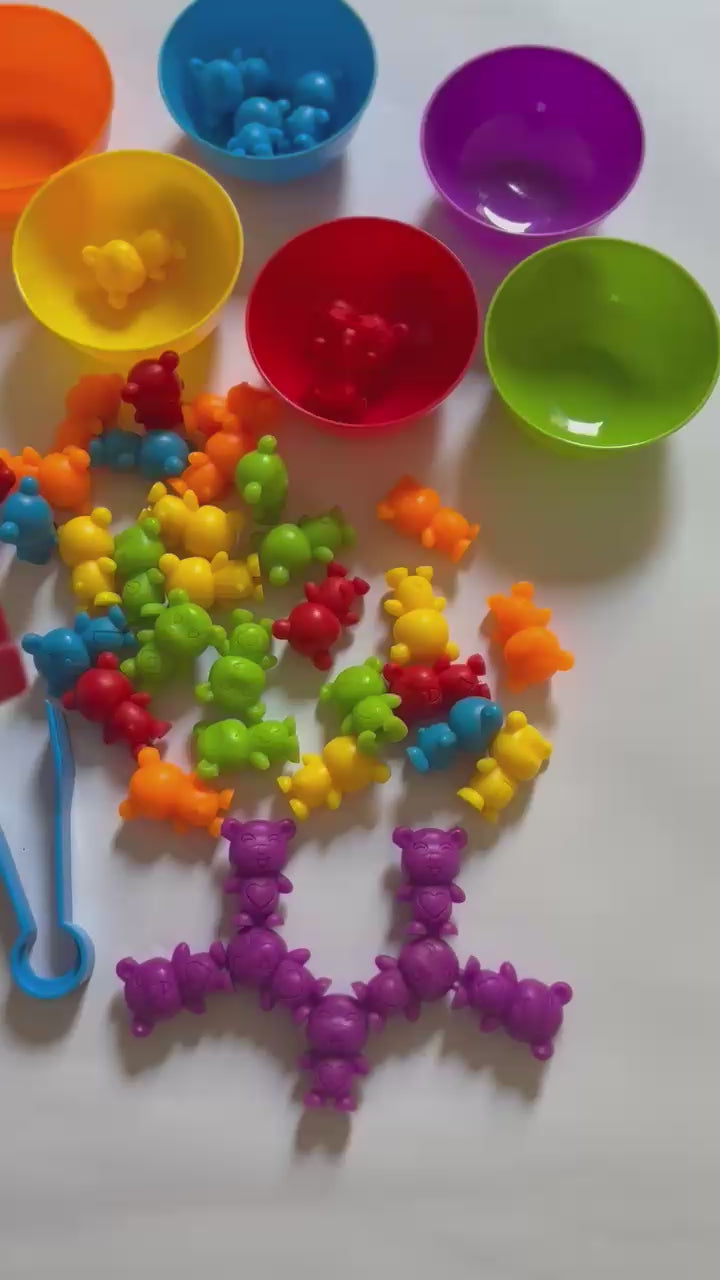 Bear Color Classification Puzzle