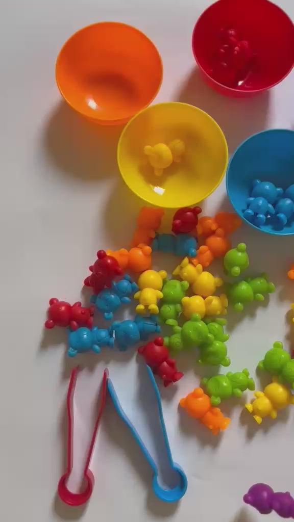 Bear Color Classification Puzzle