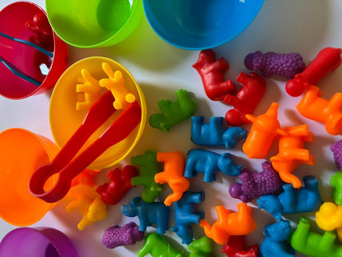 Animals Color Classification Puzzle