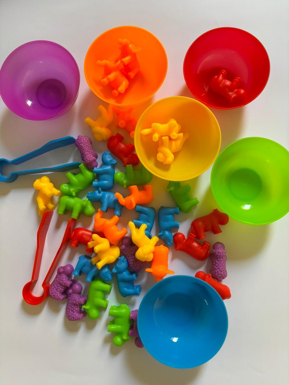 Animals Color Classification Puzzle