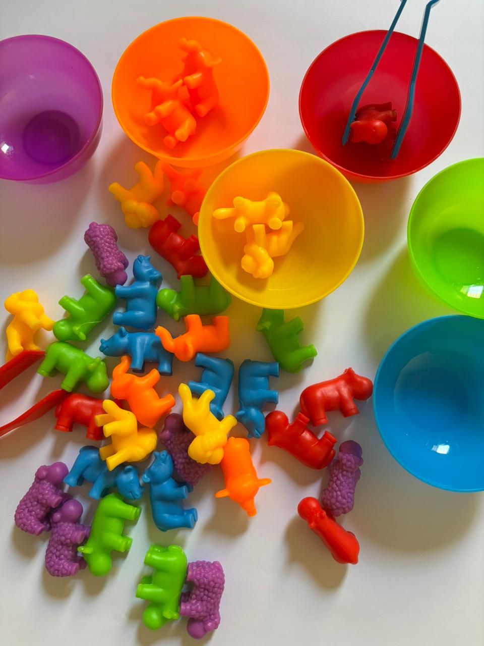 Animals Color Classification Puzzle