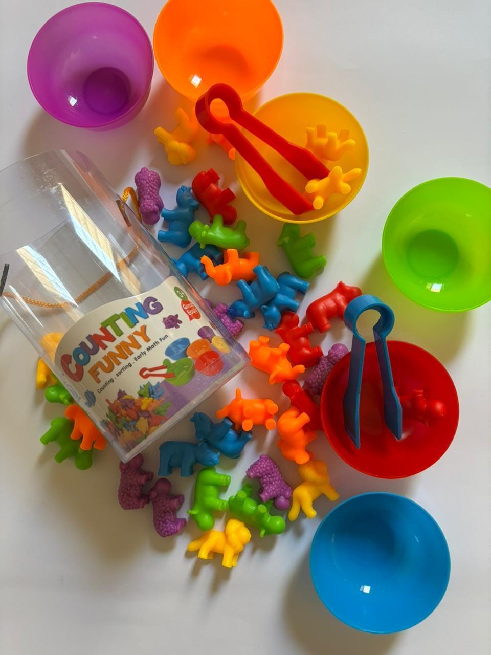 Animals Color Classification Puzzle